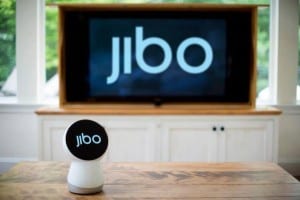 Jibo 2