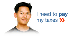 IRS I need to pay my taxes