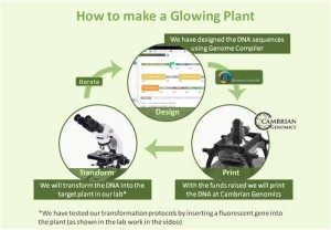 How to Make a Glowing Plant