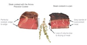 Anova
