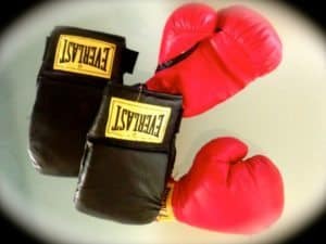 Boxing Gloves Fight Box