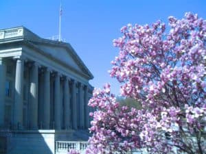 Washington DC Cherry Blossoms