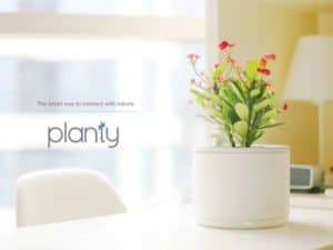 Planty 2