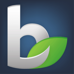 bizfi logo