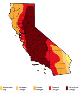 California Drought Relif 1