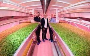 Growing Underground 2
