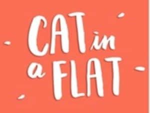 Cat in a Flat 4